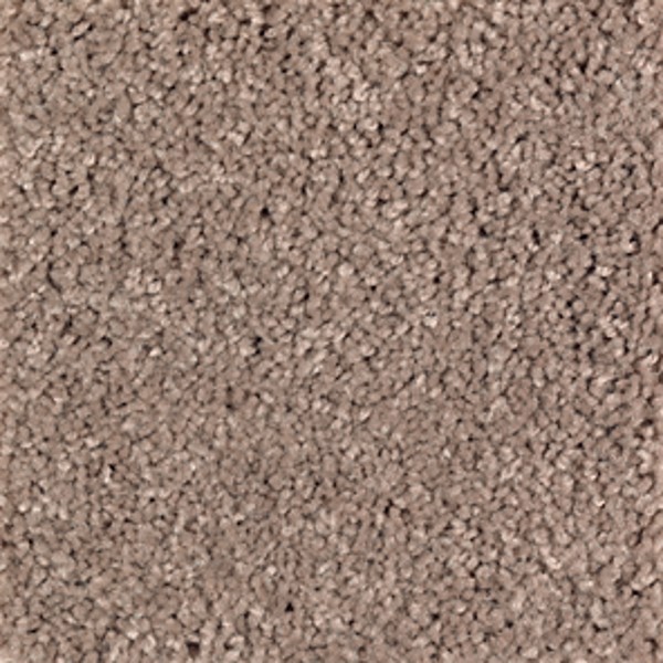 Premier Look Brushed Suede